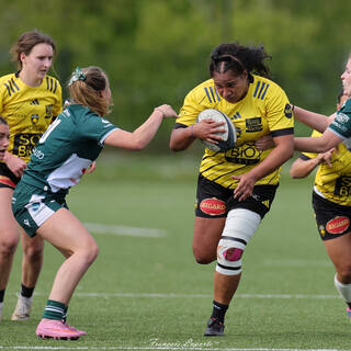 12/04/2026 - Fédérale 1 - Stade Rochelais 41 / 36 Lons