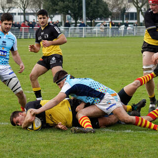 12/01/2019 - Espoirs - J12 - Stade Rochelais 24 / 16 USAP
