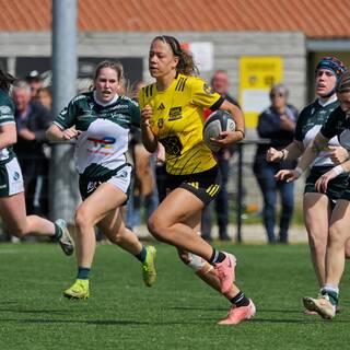 12/04/2026 - Fédérale 1 - Stade Rochelais 41 / 36 Lons