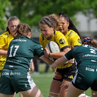 12/04/2026 - Fédérale 1 - Stade Rochelais 41 / 36 Lons