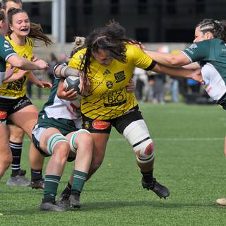 12/04/2026 - Fédérale 1 - Stade Rochelais 41 / 36 Lons