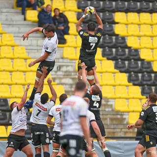 12/11/2023 - Espoirs - Stade Rochelais 31 / 13 Brive