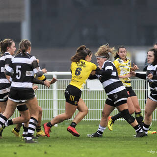 12/11/2023 - Federale 2 - Stade Rochelais 48 / 0 Poitiers