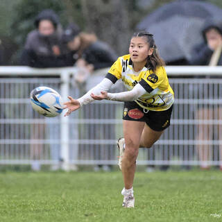 12/11/2023 - Federale 2 - Stade Rochelais 48 / 0 Poitiers