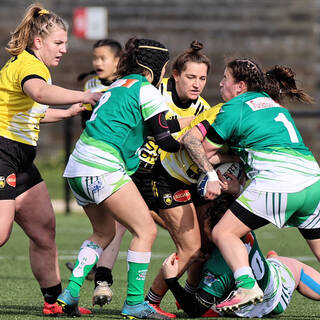 13/02/2022 - Élite 2 Féminine - Stade Rochelais 23 / 3 Clermont La Plaine