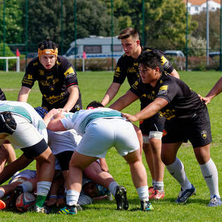 13/04/2019 - Cadets Alamercery - Stade Rochelais 26 / 25 Pau