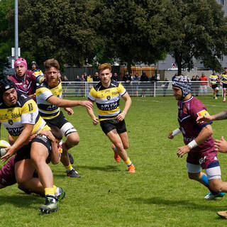 13/05/2018 - Espoirs - Stade Rochelais 40 / 18 Bordeaux Bègles