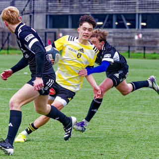 13/12/2025 - U15 - Stade Rochelais 29 / 10 Brive