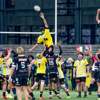 13/12/2025 - U15 - Stade Rochelais 29 / 10 Brive