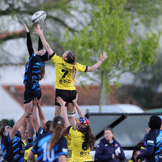 14/03/2026 - U18 Filles Élite - Stade Rochelais 22 / 22 Massy