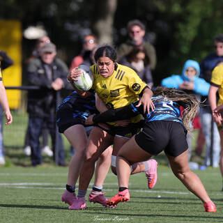 14/03/2026 - U18 Filles Élite - Stade Rochelais 22 / 22 Massy