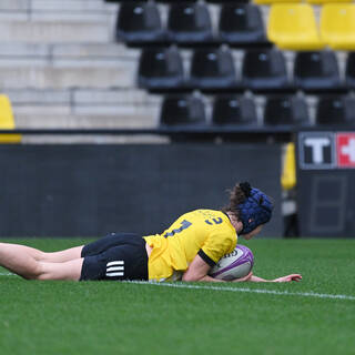 14/11/2021 - Féminines - Stade Rochelais 36 / 5 Limoges 