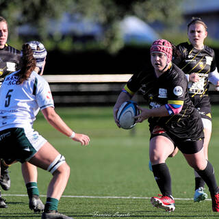 14/12/2025 - Élite 2 - Stade Rochelais 38 / 10 Lons Section Paloise