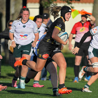 14/12/2025 - Élite 2 - Stade Rochelais 38 / 10 Lons Section Paloise