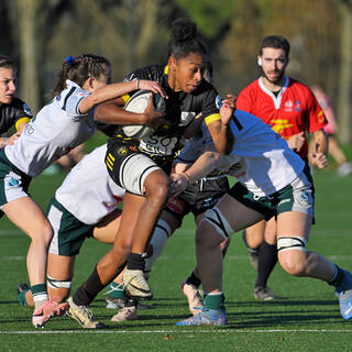 14/12/2025 - Élite 2 - Stade Rochelais 38 / 10 Lons Section Paloise