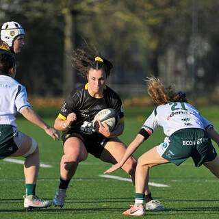 14/12/2025 - Élite 2 - Stade Rochelais 38 / 10 Lons Section Paloise