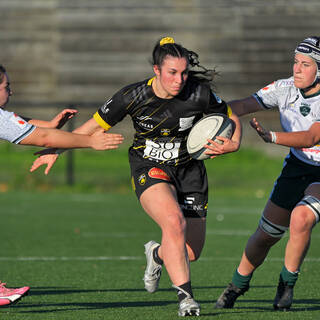 14/12/2025 - Élite 2 - Stade Rochelais 38 / 10 Lons Section Paloise