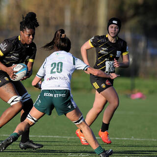 14/12/2025 - Élite 2 - Stade Rochelais 38 / 10 Lons Section Paloise