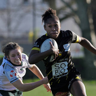 14/12/2025 - Élite 2 - Stade Rochelais 38 / 10 Lons Section Paloise