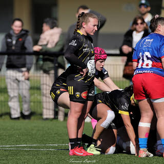 15/03/2026 - Fédérale 1 - Stade Rochelais 22 / 17 Toulouse UC