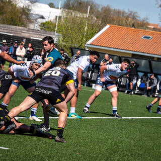 16/04/2023 - Espoirs - Stade Rochelais 47 - 7 Agen