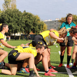 16/10/2022 - Élite 2 - Stade Rochelais 26 / 7 Dax