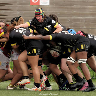 16/11/2025 - Élite Féminine - Stade Rochelais 55 / 07 Perpignan