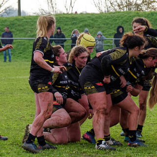 17/11/2019 - POC'ettes - J5 - Stade Rochelais 13 / 0 Limoges