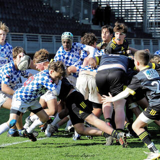 19/03/2023 - Cadets Gaudermen - Stade Rochelais 27 / 15 Club Athlétique Bordeaux Bègle Gironde