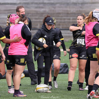 19/10/2025 - Fédérale 1 - Stade Rochelais 39 / 3 Toulouse Cheminots Ms / Balma Orc