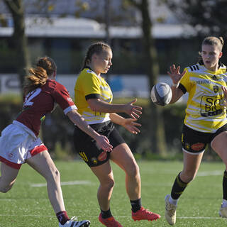 19/11/2022 - U18 à XV - Stade Rochelais 20 / 32 Stade Bordelais