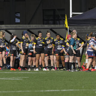 20/03/2022 - Élite 2 Féminine - Stade Rochelais 36 / 00 Bruges Blanquefort