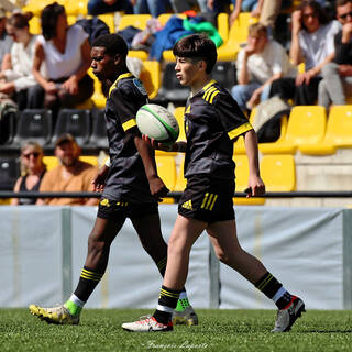 20/04/2024 - Cadets Alamercery - Stade Rochelais 17 / 24 Massy