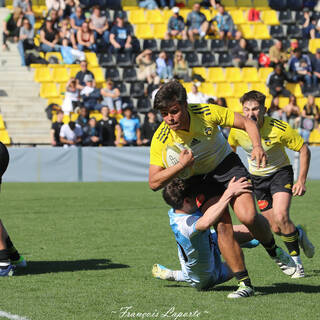 20/04/2024 - Crabos - Stade Rochelais 45 / 7 Massy