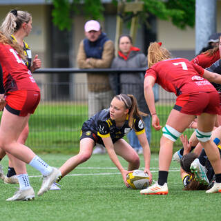 20/04/2025 - Élite 2 - Stade Rochelais 33 / 18 Valkyries Normandie