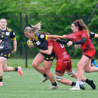 20/04/2025 - Élite 2 - Stade Rochelais 33 / 18 Valkyries Normandie