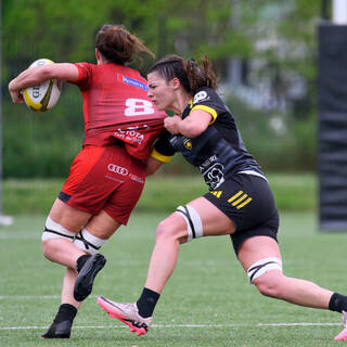 20/04/2025 - Élite 2 - Stade Rochelais 33 / 18 Valkyries Normandie