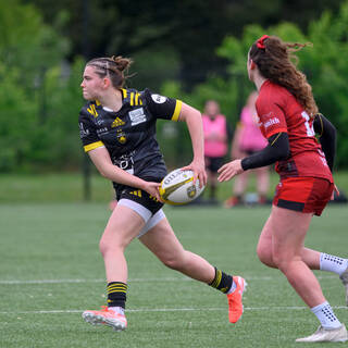 20/04/2025 - Élite 2 - Stade Rochelais 33 / 18 Valkyries Normandie