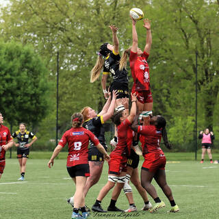 20/04/2025 - Élite 2 - Stade Rochelais 33 / 18 Valkyries Normandie