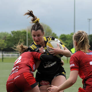 20/04/2025 - Élite 2 - Stade Rochelais 33 / 18 Valkyries Normandie