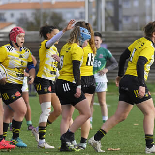 20/11/2022 - Élite 2 - Stade Rochelais 59 / 07 Clermont