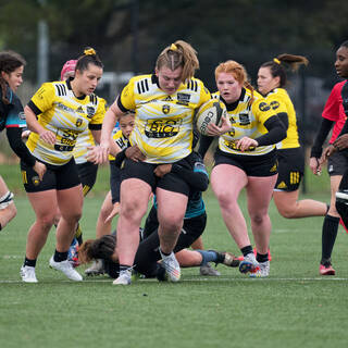 21/01/2024 - Elite 2 - Stade Rochelais 49 / 00 Coyotes 94