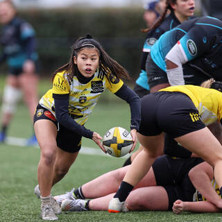 21/01/2024 - Elite 2 - Stade Rochelais 49 / 00 Coyotes 94