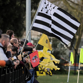 22/02/2026 - Élite 2 - Stade Rochelais 36 / 15 Stade Rennais