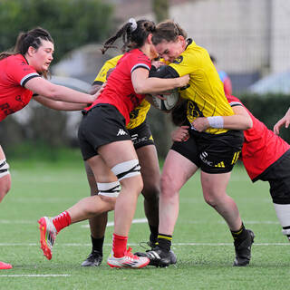 22/02/2026 - Élite 2 - Stade Rochelais 36 / 15 Stade Rennais