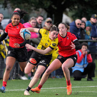 22/02/2026 - Élite 2 - Stade Rochelais 36 / 15 Stade Rennais