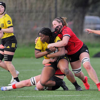 22/02/2026 - Élite 2 - Stade Rochelais 36 / 15 Stade Rennais