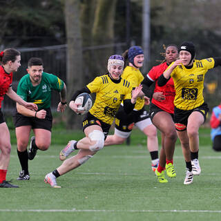 22/02/2026 - Élite 2 - Stade Rochelais 36 / 15 Stade Rennais