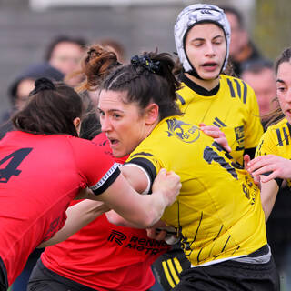 22/02/2026 - Élite 2 - Stade Rochelais 36 / 15 Stade Rennais