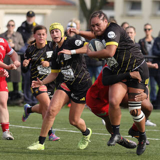 22/02/2026 - Fédérale 1 - Stade Rochelais 44 / 10 Dax